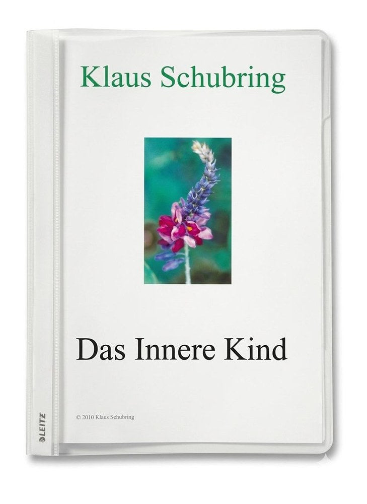 Das innere Kind (Schubring, Klaus)
